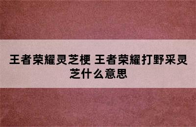 王者荣耀灵芝梗 王者荣耀打野采灵芝什么意思